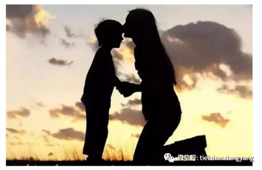 妈妈爱上我的男朋友,纪录片高清修复收录，人文、自然、科技纪录片全品类覆盖